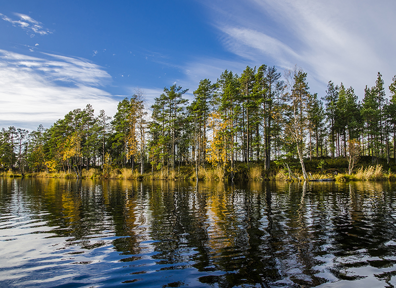 risnäs träsk övermark