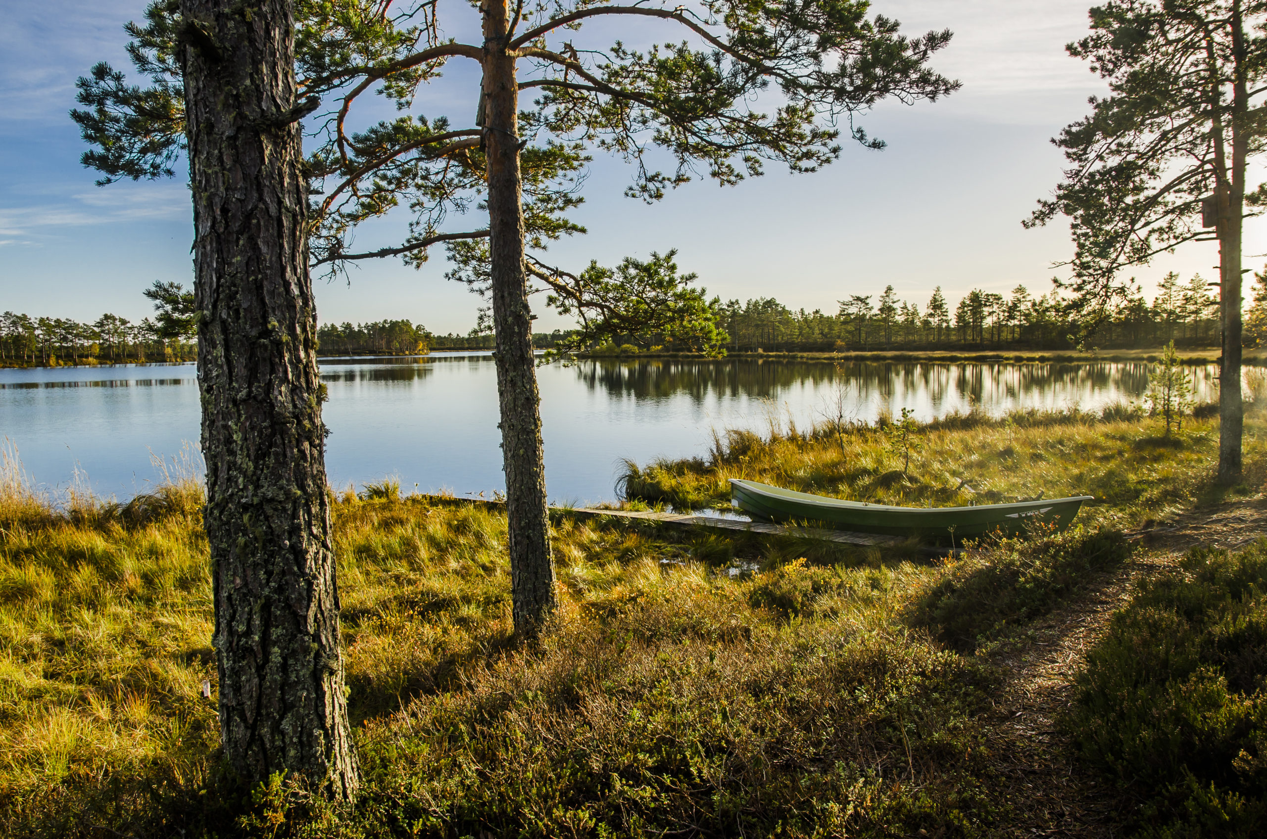 Risnäs träsk Övermark