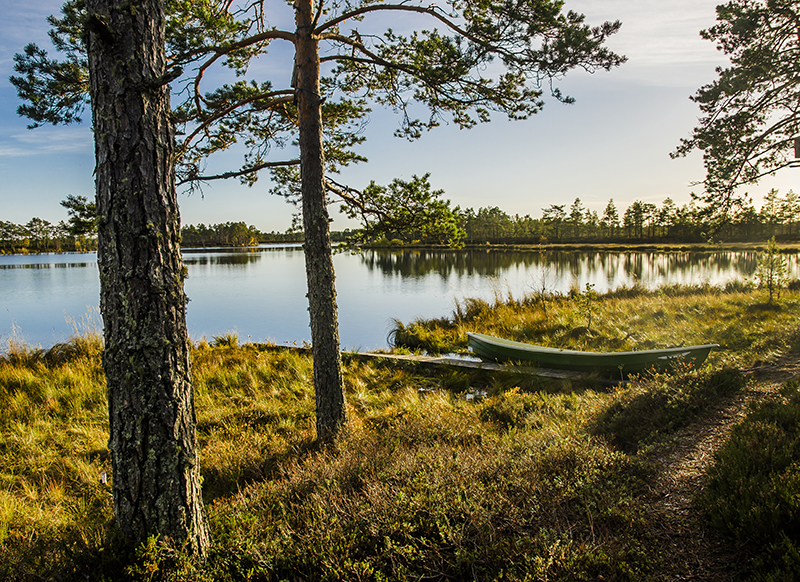 risnäs träsk övermark